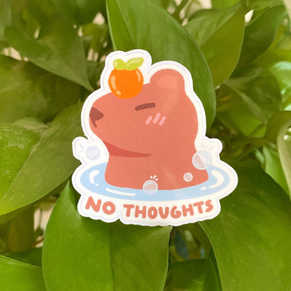 Capybara - No Thoughts - Matchigraphics